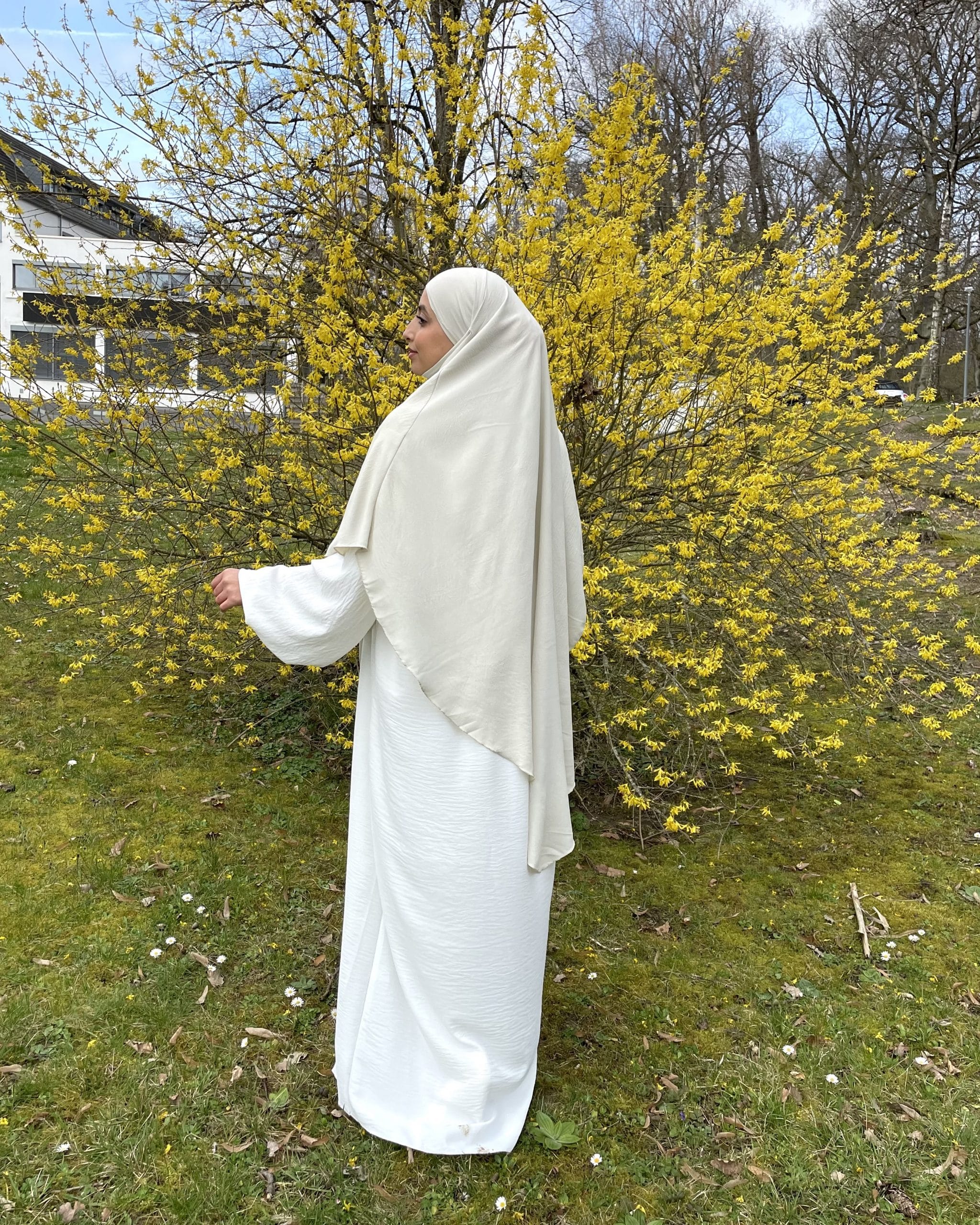 Elfenbein